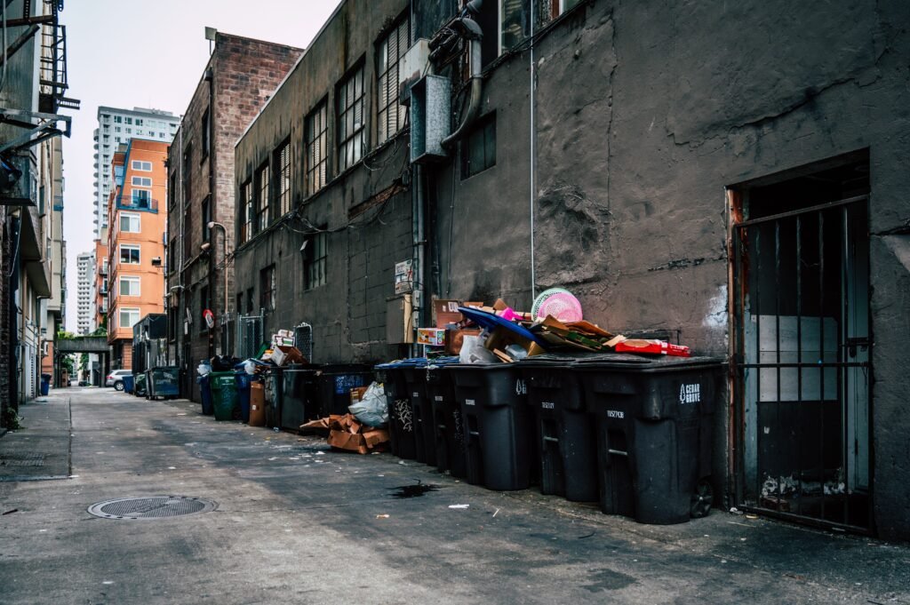 junk removal service